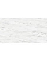 SPC 786 - thumbs image 4