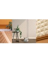 W113 (25 x 2.2 x 200 cm) - thumbs image 7