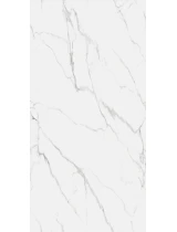 Panou decorativ SPC220