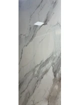 Panou decorativ SPC219